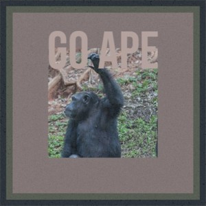 Go Ape