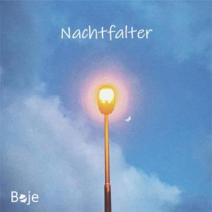 Nachtfalter