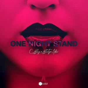 One Night Stand (Explicit)