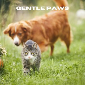 Gentle Paws