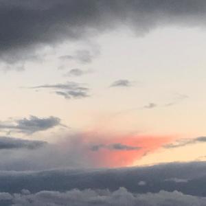 Wow(feat. Kidd MLDN)