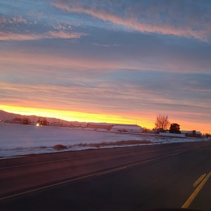 Taylor Jones - It's Christmas don't you know?