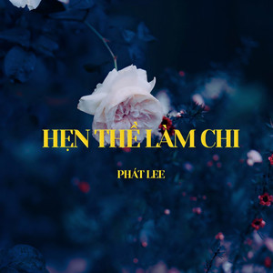 Hẹn Thề Làm Chi (Lofi)