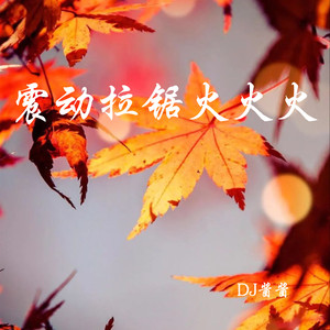 余生一个浪 (Remix)