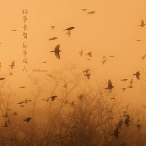 经事长智 历事成人