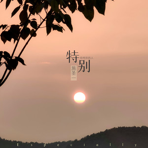 特别