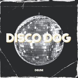 Disco Dog