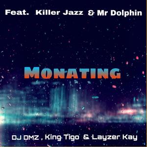 Monating (feat. King Tigo, Layzer Kay, Killer Jazz & Mr Dolphin) (Explicit)