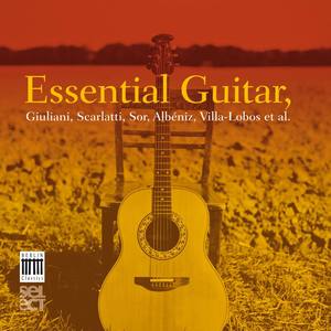 Essential Guitar