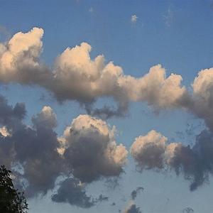 of my dreams (feat. Matthew The Kidd & Tito xo) (Explicit)