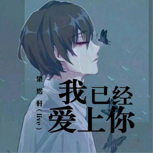 我已经爱上你