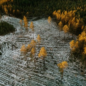 占有欲 <Speed Up R&B人声版>-小黑