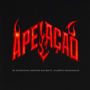 APELAÇÃO