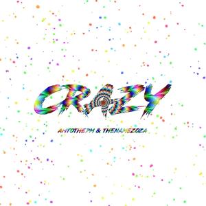 Crazy (feat. thenamezoza)