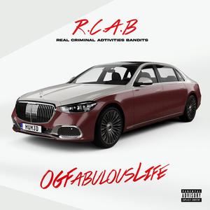 REAL CRIMINAL ACTIVITIES BANDITS (Explicit)