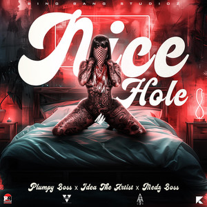 Nice Hole (Explicit)