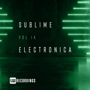 Sublime Electronica, Vol. 14 (Explicit)
