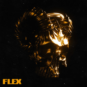 Flex (Explicit)