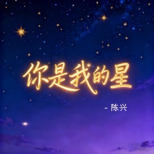 你是我的星 (DJ 唐僧版)