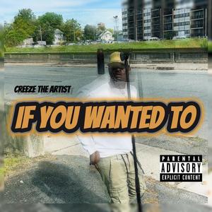 If You Wanted To (Explicit)