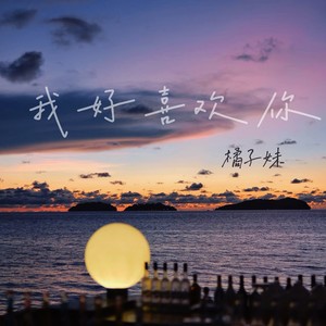 我好喜欢你