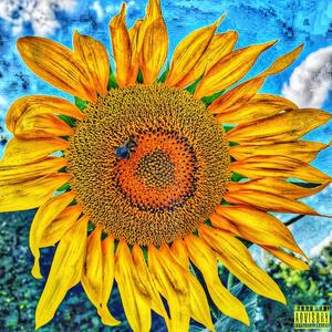 Sonnenblumen (interlude) (feat. Rocca Fe77a) [Explicit]