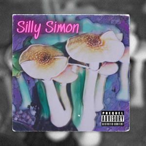 Silly Simon