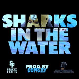 Sharks In The Water (Explicit)