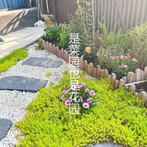 是菜园也是花园