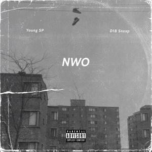 NWO (feat. D1B Snxxp) [Explicit]