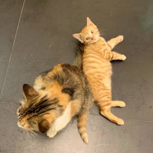 多想在平庸的生活拥抱你