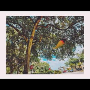 Mid-Training... (Explicit)