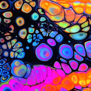 Bae I Love It When the Dicks on Display (Sped) (Explicit)