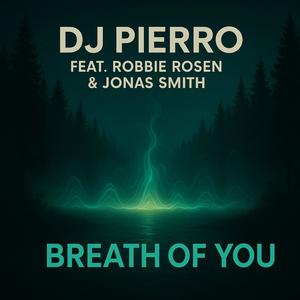 Breath of You (feat. Robbie Rosen & Jonas Smith)