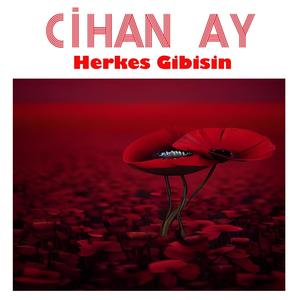 Herkes Gibisin