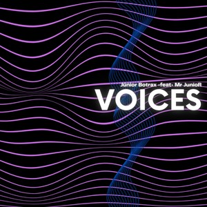 Voices (Extended Mix) [feat. Mr.JunioR]