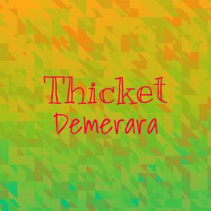 Thicket Demerara