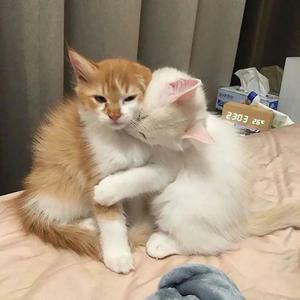 MAKE IT LOOK EASY(feat. weed) (Explicit)