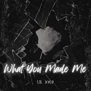 What You Made Me! (Explicit)