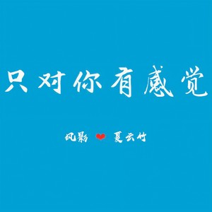 只对你有感觉 (情人节限定)