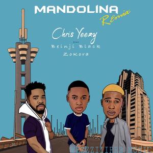 Mandolina (feat. Chris Yeezy, Benji Black & Zokora) [Remix]