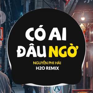 Có Ai Đâu Ngờ (Remix Vinahouse)