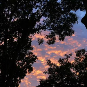 江声入旧年 (氛围女声)