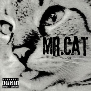 Mr. Cat (Explicit)