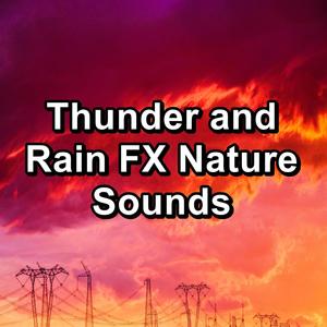 Thunder and Rain FX Nature Sounds