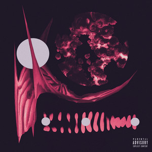 komodobelt (Explicit)