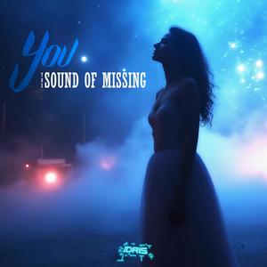 The Sound Of Missing You