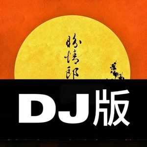 盼情郎（DJ罗马）