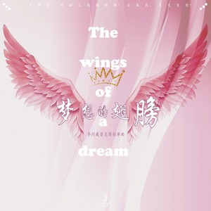 梦想的翅膀