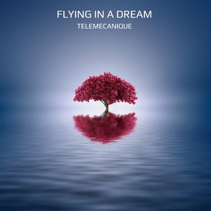 Flying in a Dream (Original Mix)